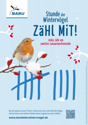 Stunde der Wintervögel- Zähl mit! Die nächste, bereits 16. Zählung der Wintervögel findet vom 9. bis 11. Januar 2026 statt.